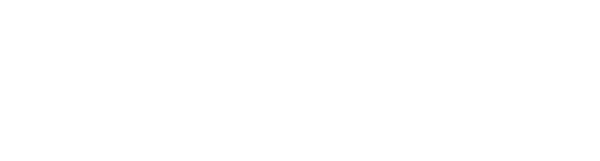Logo Five Star Tamarindo